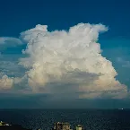 Pochette 八月は僕の名前