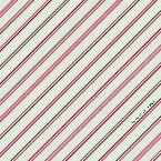 Pochette Variations