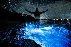 Pochette Bioluminescence