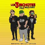 Pochette Los 3 bichotes