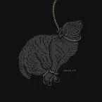 Pochette Shining / Srd