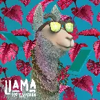 Pochette Llama
