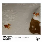 Pochette Split: Julie Doiron / Calm Down, It’s Monday