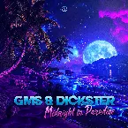 Pochette Midnight in Paradise
