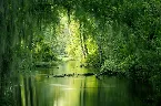 Pochette That Place of Calm