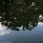 Pochette あざやか (Trees) -Long Edit-