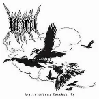 Pochette Where Ravens Forever Fly