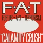 Pochette Calamity Crush