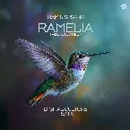 Pochette RAMelia (Tribute To Amelia) [Digital Culture Remix]