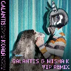 Pochette Koala (Galantis & Misha K VIP Mix)