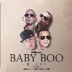 Pochette Baby Boo (remix)