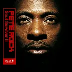 Pochette Soul Survivor II