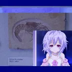 Pochette Particle Mute