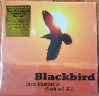 Pochette Blackbird