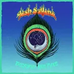 Pochette Beyond the Pine