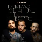 Pochette Dommage, c’était une belle histoire (Bigflo & Oli / Michel Fugain) (nouvelle version 2022)