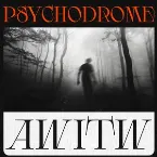Pochette PSYCHODROME