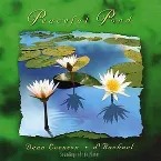 Pochette Peaceful Pond