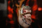 Pochette Every Creature Is a Jewel of Dharma in a Genuinely Divine Creation