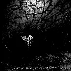 Pochette Live at Brutal Assault 2017