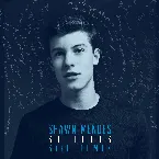 Pochette Stitches (Seeb Remix)
