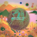 Pochette Sinking Purple Forest