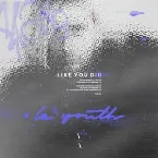 Pochette Like You Did