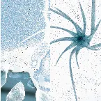Pochette Arctic Beats 2