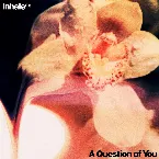 Pochette A Question of You