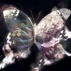 Pochette Eight Scenery Of The Burning Piano