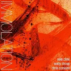 Pochette Immolation/Immersion