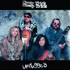 Pochette Unplugged
