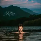 Pochette Me voy contigo