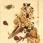 Pochette .aiff Skull EP