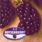 Pochette Boysenberry: U2 Fruitleg Remixes Not for Propaganda
