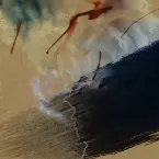 Pochette Bruises