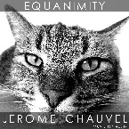Pochette Equanimity