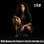 Pochette Roda (Bombay Dub Orchestra's Grateful Dub Radio Mix)