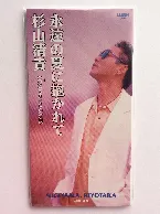 Pochette 永遠の夏に抱かれて