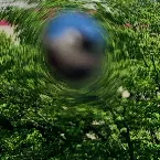 Pochette Oroka Na Kaze (Böswilliger Rat)