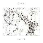 Pochette Unspeakable Visions