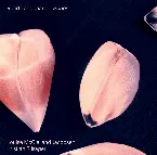 Pochette Songs
