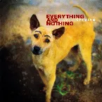 Pochette Everything and Nothing