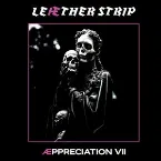 Pochette Æppreciation VII