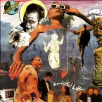 Pochette Wonderful Life