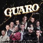 Pochette Guaro (remix)
