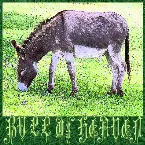 Pochette 186: A Donkey's Head Sold for Eighty Shekels of Silver