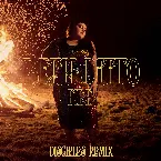 Pochette Fire (Disciples remix)