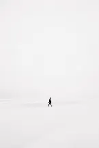 Pochette Quiet Snow on an Empty Field