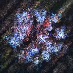 Pochette twilight floret